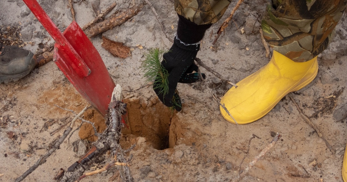 В регионе пройдет акция &laquo;Сад памяти&raquo...