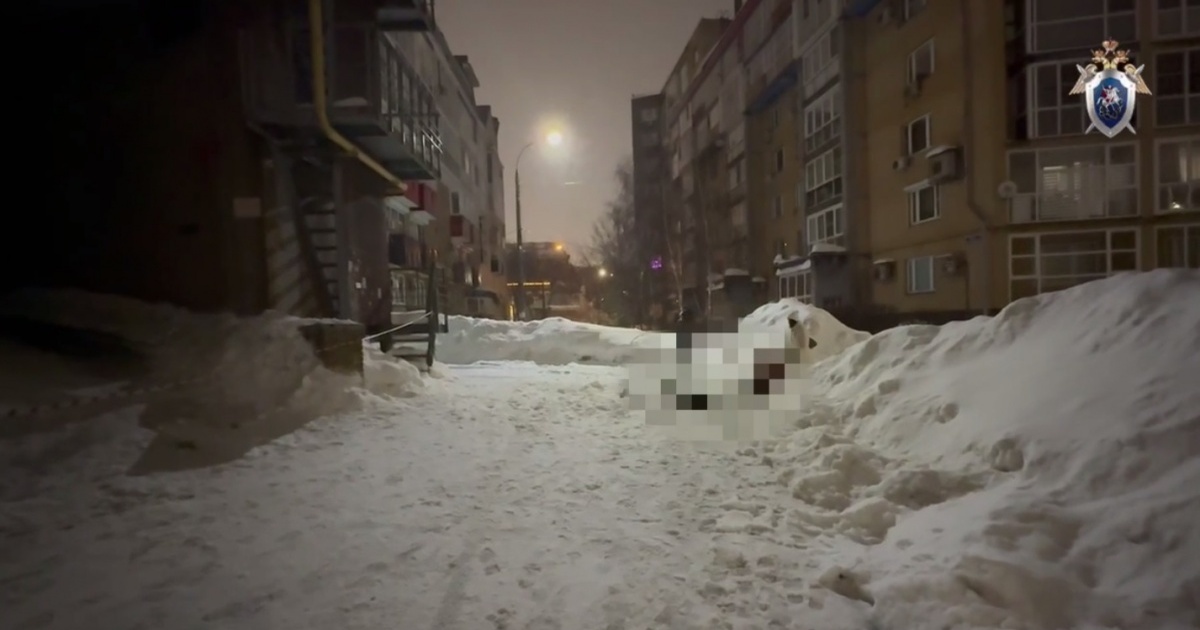 Бастрыкин запросил повторный доклад по делу о гибели нижегородки от наледи Председатель Следственного комитета России Алек...