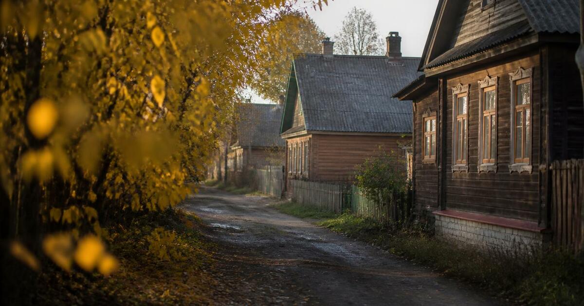 В Ардатовском округе введен карантин по бешенст...