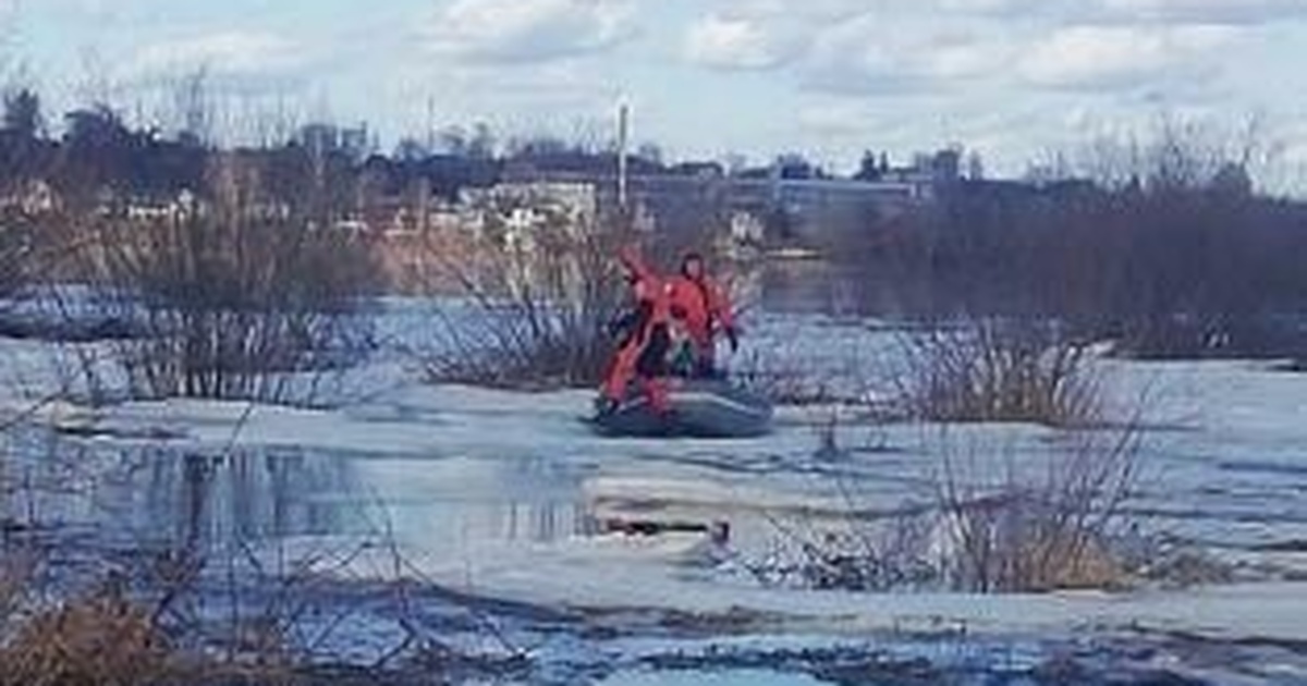 В Нижегородской области спасли двух человек на дрейфующей льдине На реке Черной в Балахнинском округе двое людей...
