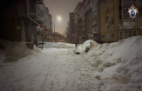 Бастрыкин запросил повторный доклад по делу о г...