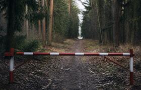 В 15 округах Нижегородской области запретили по...